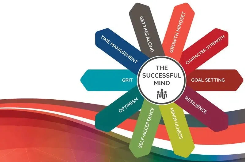 Tertiary Successful Mind Online Mentoring Program