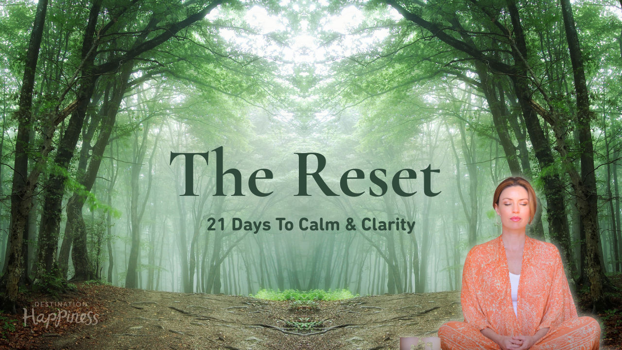 The Reset - 21 days to Calm and Clarity